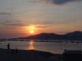 DSC03316
