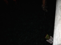 DSC03363