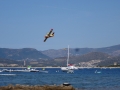 DSC03377
