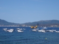 DSC03384