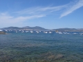 DSC03387
