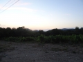 DSC03482