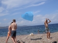 DSC03561