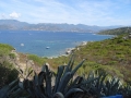 DSC03651
