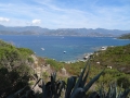 DSC03662