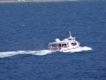 DSC03668