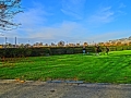 DSC03665