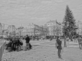 DSC03692