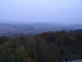 DSC03506