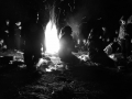 DSC03555