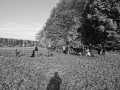 DSC03609