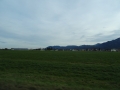 DSC03785