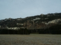 DSC03788