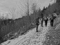 DSC03800