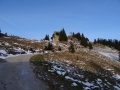 DSC03866