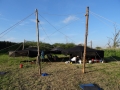 DSC01729