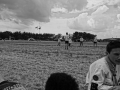 DSC04520