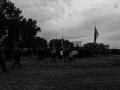 DSC04594