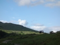 DSC00177