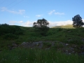DSC00227