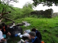 DSC04824