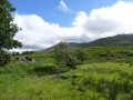 DSC04852