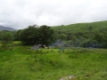 DSC04855