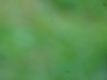 DSC04933
