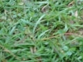 DSC04934