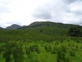 DSC04974
