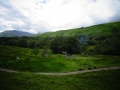 DSC04979