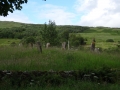 DSC05076