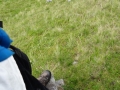 DSC05115