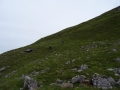 DSC05121