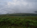 DSC05203