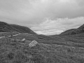 DSC05294