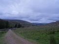 DSC05308