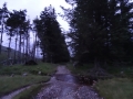 DSC05312