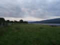 DSC05364