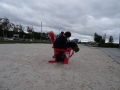 DSC05451