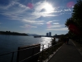 DSC05530