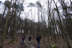 2016-01 Führeraktion
