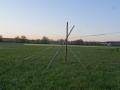 DSC05968