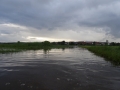 DSC06031