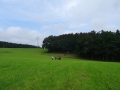 DSC06093
