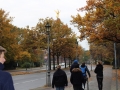 IMG_2139
