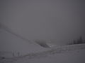 DSC_0298