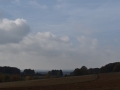 DSC_0037