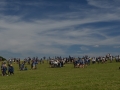 DSC_1074