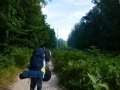 GF-Ruegen111